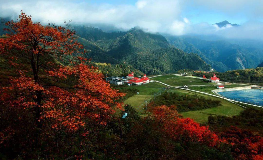 【秋季囤票节①】西岭雪山枫叶酒店1晚,数量有限!