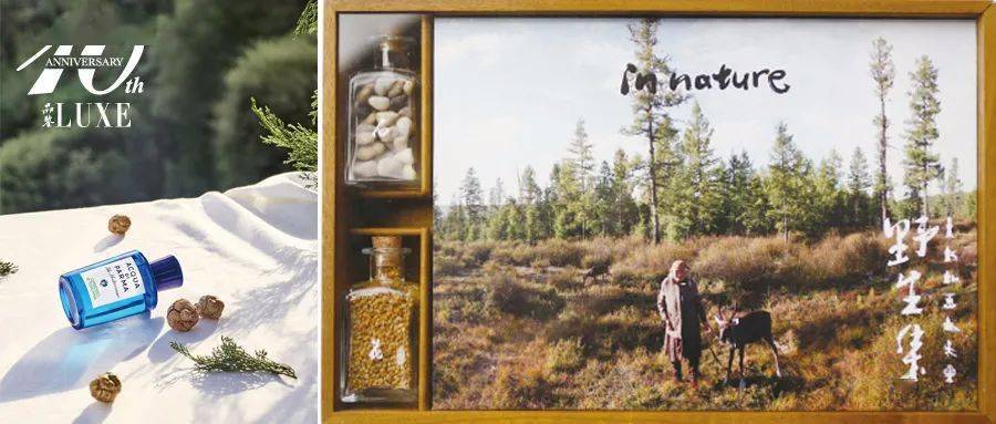 �����»���