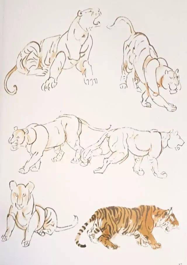 写意老虎的画法