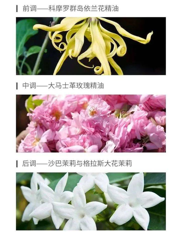 香水|法国女人的风情，一半靠Dior