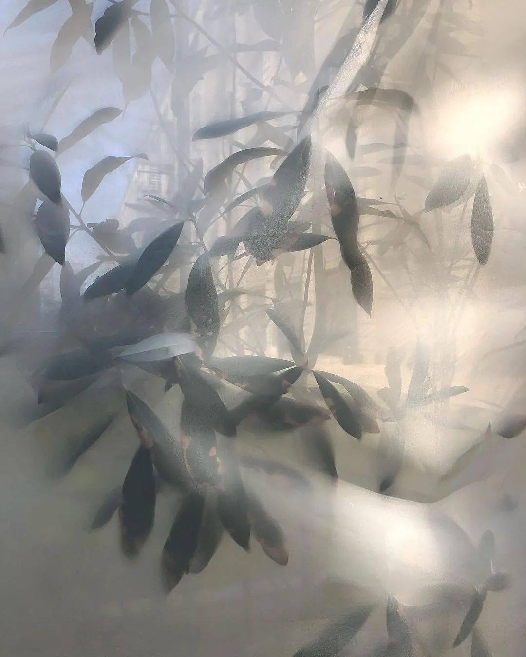 叛逆|他从Celine离职后,创立品牌短短一年火速爆红!新生代叛逆少年的禁欲系极简风~