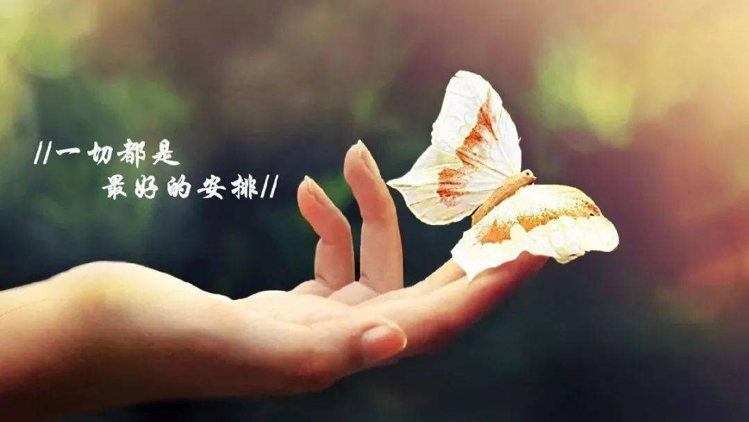 到底什么是爱 5078c7f11cd44400853f643a90f6e612.jpeg