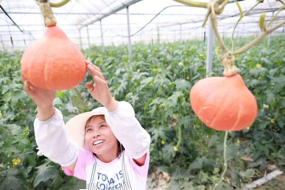 看图猜成语一羽月土米水日古余_看图猜成语(2)