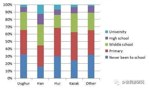新疆各民族人口比例_乌鲁木齐城市及其空间发展(3)