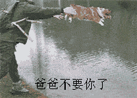 皮肤|护肤品成分花里胡哨看不懂?看完这篇就够了!