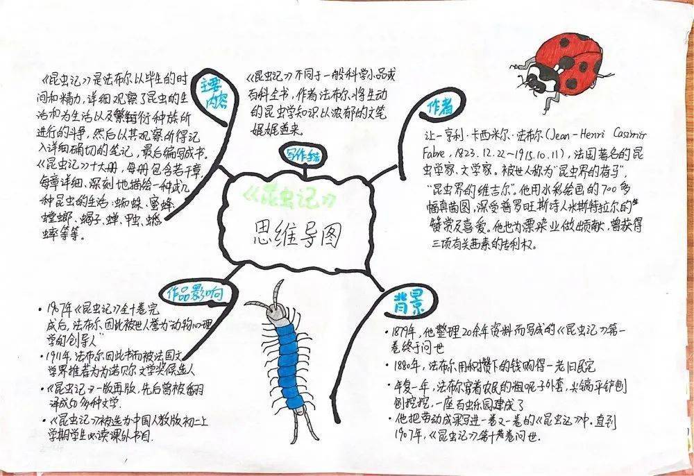 碧华实验学校八年级名著经典思维导图创作比赛 pin 品 ming 名