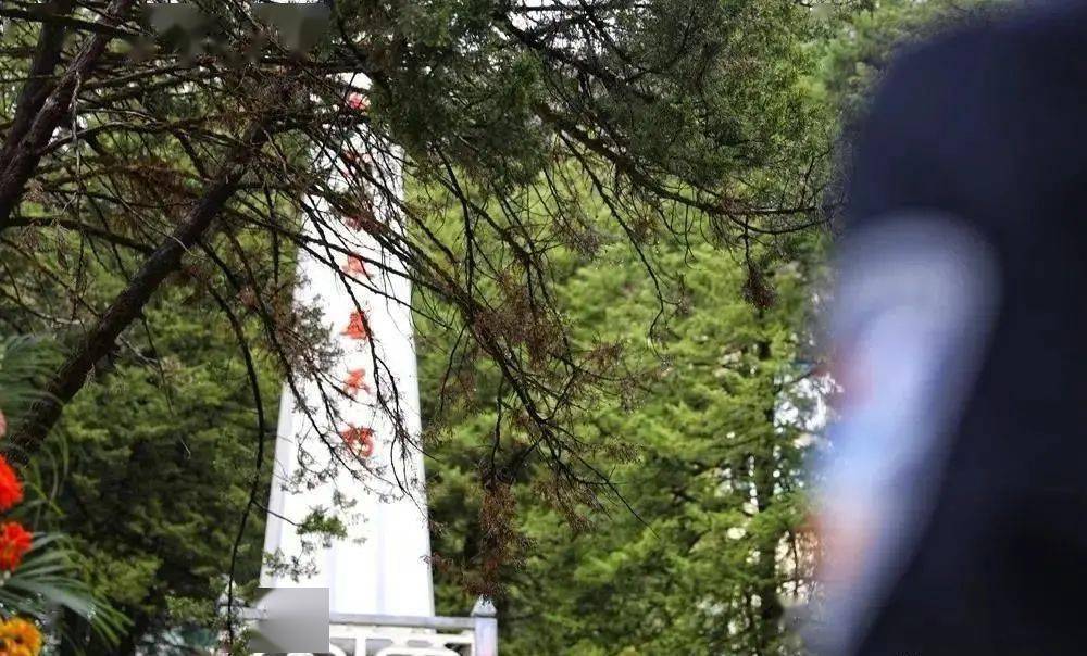 2020阿坝州各县GDP_阿坝州地图