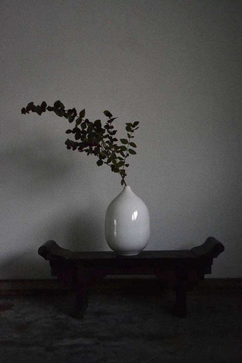 禅意插花 · 100例,此花不在你心外