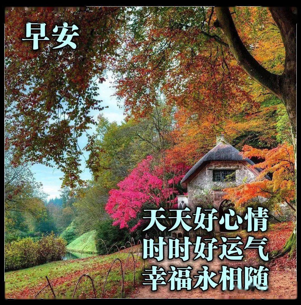 7张最美秋天枫叶早安图片带字带祝福语 秋日风景早上好问候祝福图片