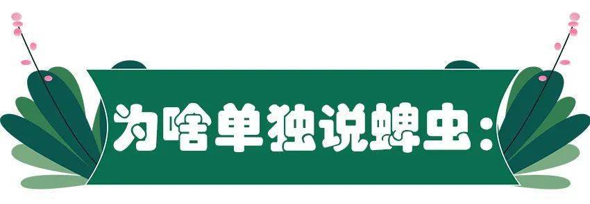 死亡|被虫叮咬进ICU？一个月内多人死亡，这不是危言耸听！