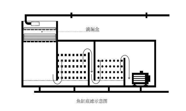 技巧| 鱼缸过滤80%的任务,都在这里,细节决定成败!