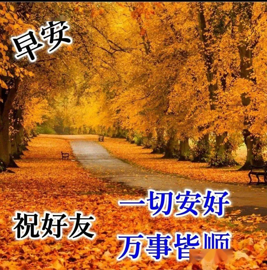 周日漂亮早上好问候动态图带字10月优美早安问候祝福语图片带字