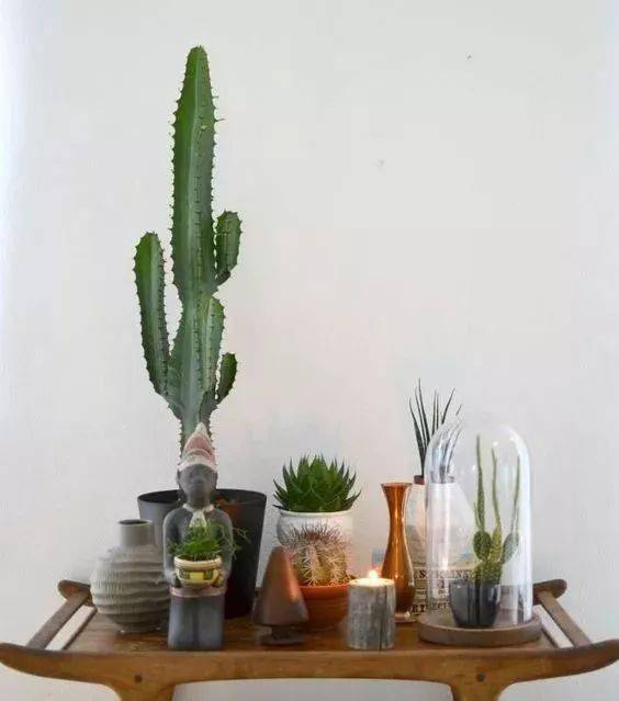 结构|家再小，也能建造的这些小花园！