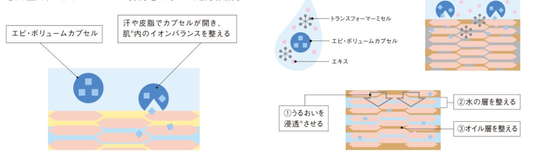 肌肤|POLA黑B.A全线大升级价格表及发售日期！