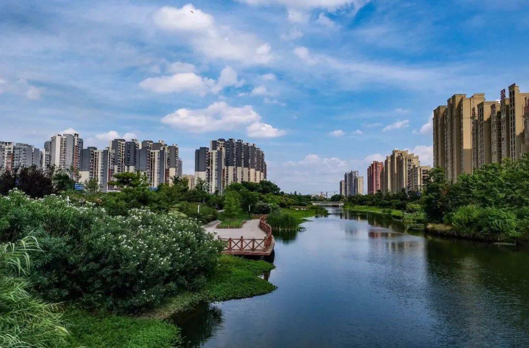 涡阳县多少人口_涡阳县地图(2)