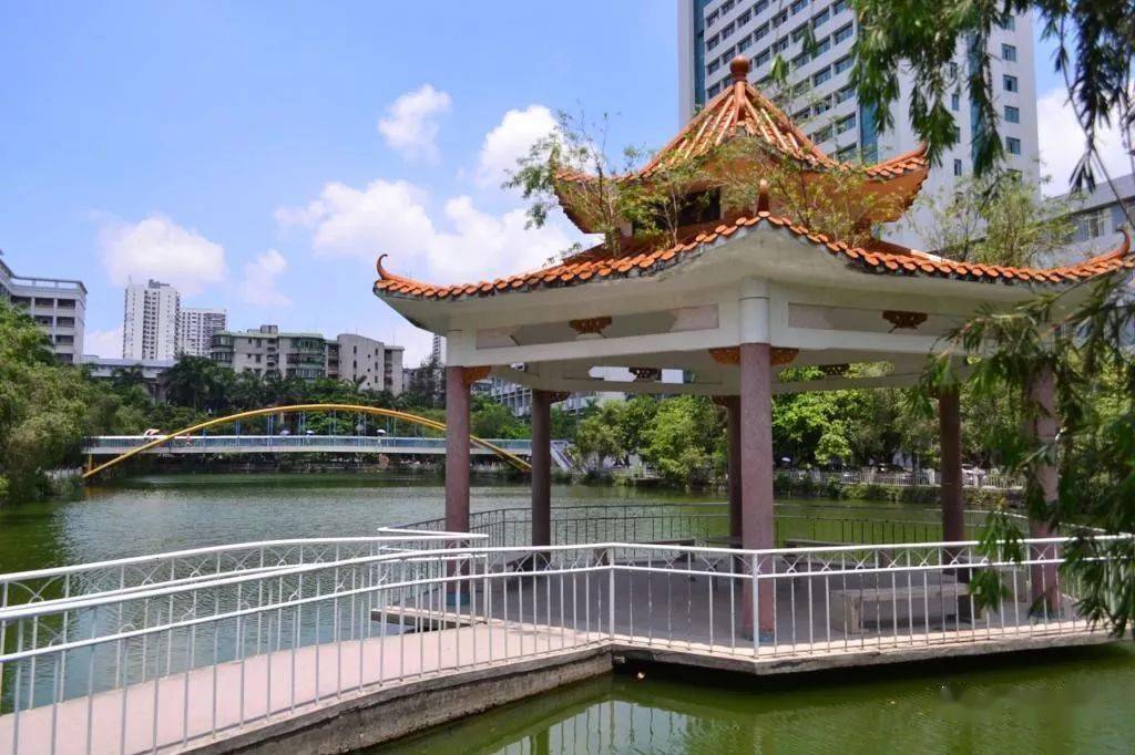校区|看哭！广东“最没存在感”公办大学！这几所也在榜？