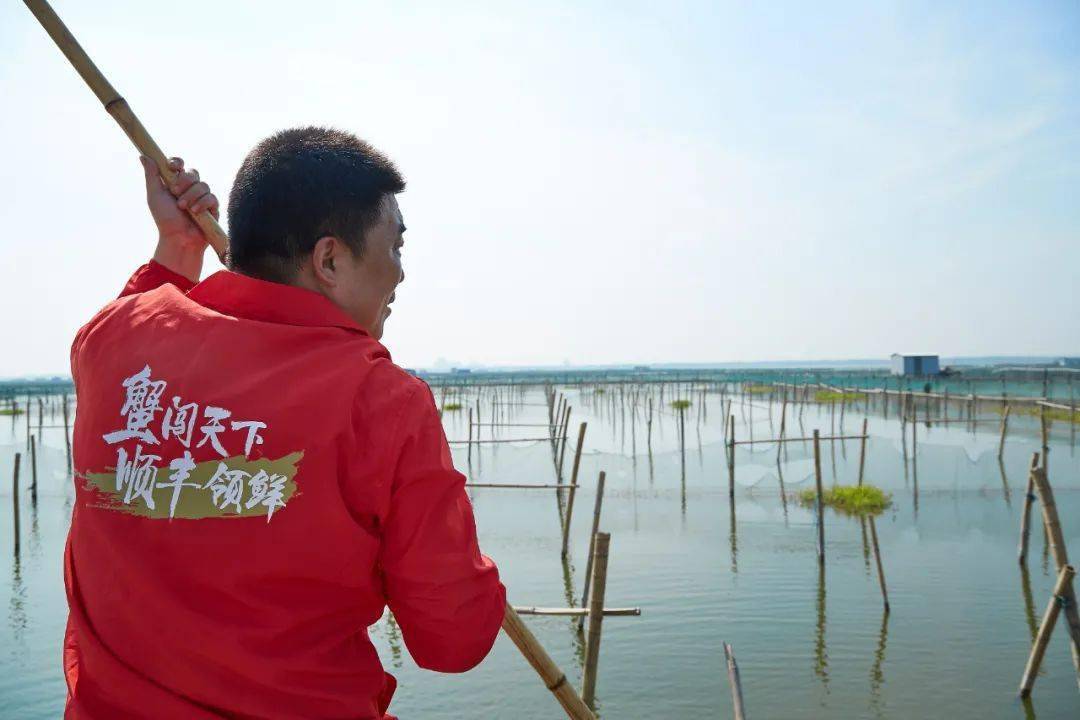 阳澄湖|什么是好吃的大闸蟹！咬一口“biu~”爆膏流黄15年老蟹农告诉你