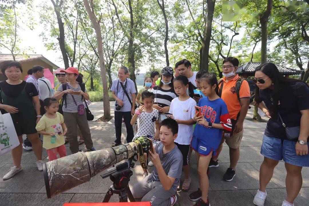 
肇庆有场图片展 展出170多种珍稀鸟类！这些你还纷歧定见过……“IM电竞平台”(图6)