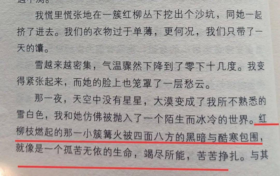 简谱情到深处_情到深处人孤独的图片(2)