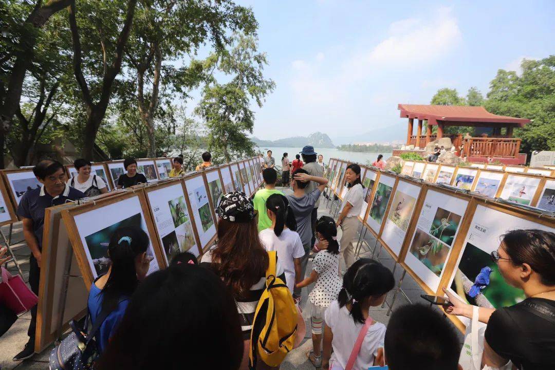 
肇庆有场图片展 展出170多种珍稀鸟类！这些你还纷歧定见过……“IM电竞平台”(图10)