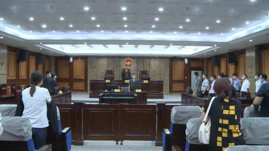 南宁首例套路贷涉黑案一审宣判_朱文金