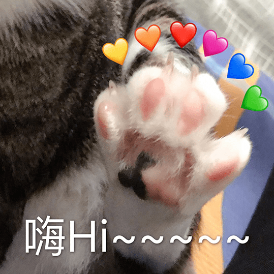 如何在与人撕逼的时候,继续优雅的用猫咪表情包?