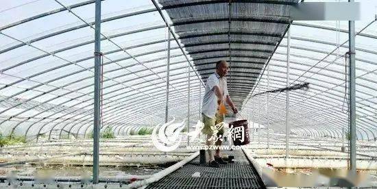 致富经养虾_养牛羊致富故事_2017农村养什么致富快