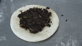 温州|公园路非遗一条街火了！这个温州人做出了不一样的麦饼