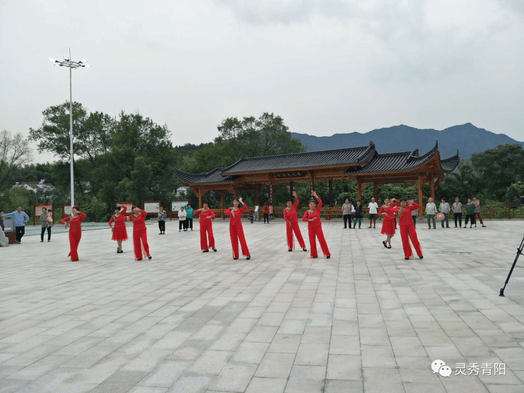 池州市庙前镇有多少人口_树人镇有多少人口