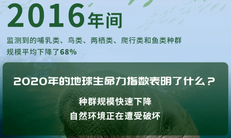 wwf发布《地球生命力报告2020》:淡水野生动物种群数量每年减少4%