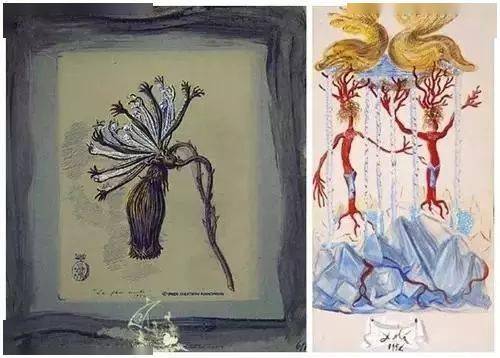 摄影|达利:疯狂的天才就是疯狂得无所不能