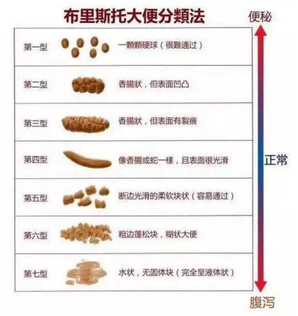 排便总是前硬后软,别当成便秘对待_大便