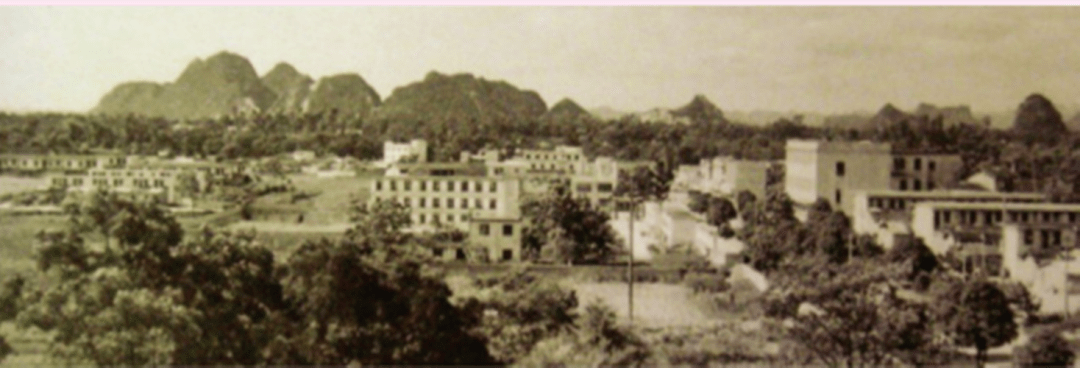 你可能从未见过的武鸣历史影像【掌上武鸣】