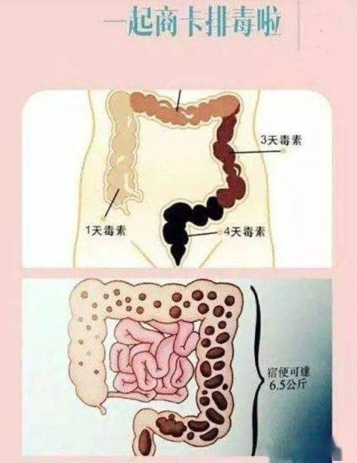 食不什么腹的成语_成语故事图片(2)