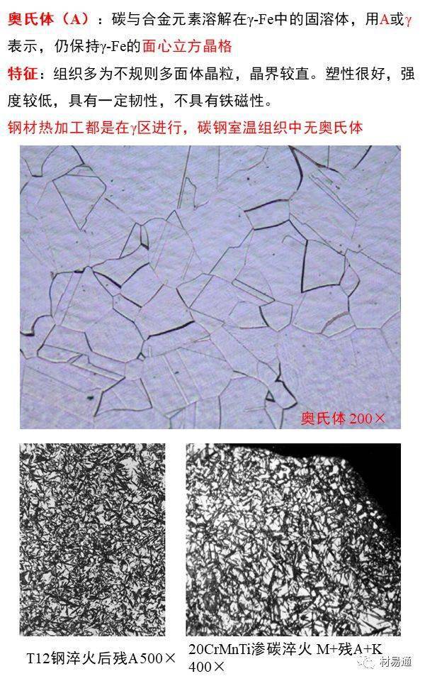 一组图看懂金相组织