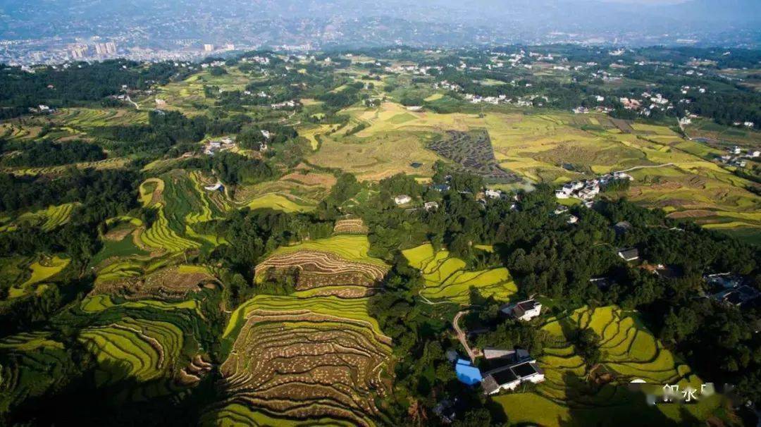 四川省叙永县红岩坝千蚯榜王氏家族简介
