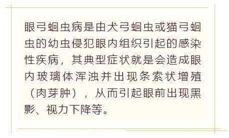 寄生虫|几乎失明!这病多发于儿童!9岁男孩右眼钻进寄生虫