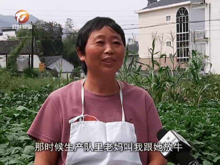 一碗馄饨,儿时滋味!走近休宁网红馄饨店"吴嫂馄饨"