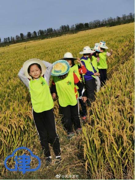 收货|钓螃蟹、挖红薯、掰玉米……收货的季节这么过！