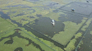 所有人|阳澄湖大闸蟹可以提现货啦~@所有人