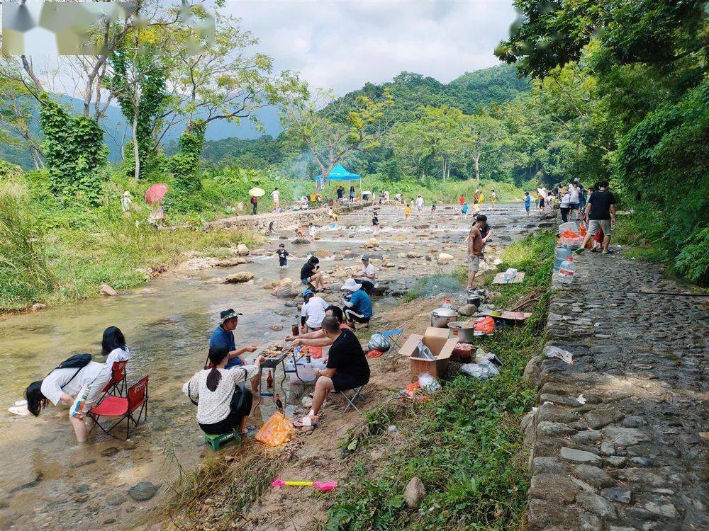 长假阳江游:遛娃胜地,欢乐雨林河!