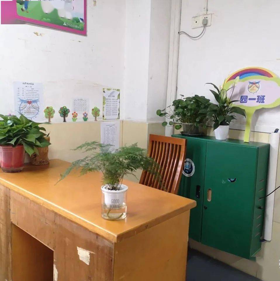 最美小学教室装饰 747d0eb237794fed9f6b17cc48d87efb.jpeg