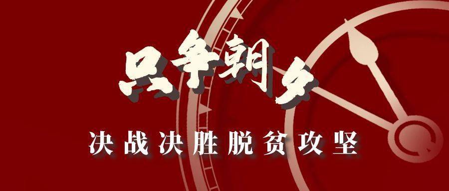 只争朝夕决战决胜脱贫攻坚写好产业扶贫大文章交出时代精彩答卷