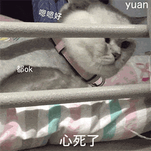 e83b68303202460eaf1d0e77a6d7d60b.gif