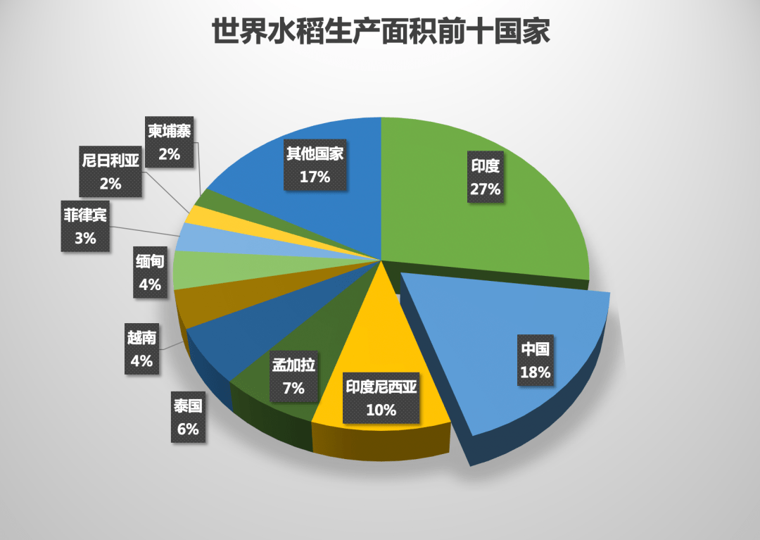 【农技推广】水稻起源于哪里?哪个国家水稻产量最多?