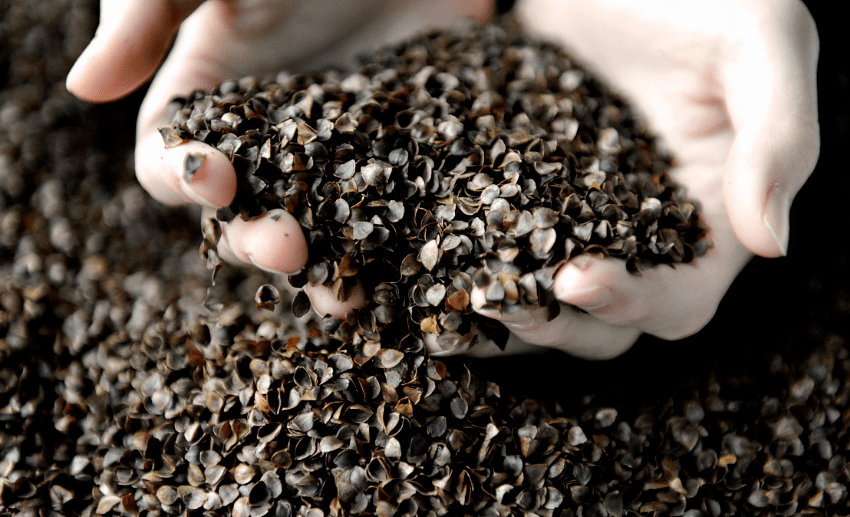 颈椎|放松，是女人最好的状态 | 好物