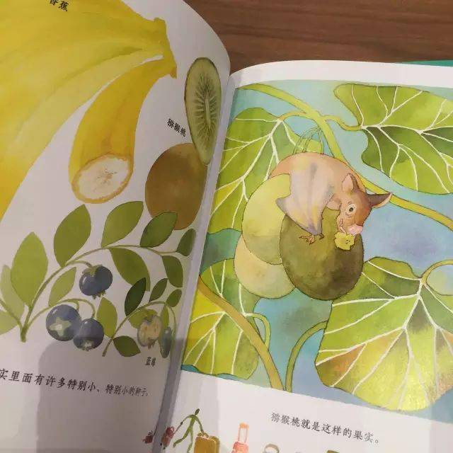 【有声绘本】《果实是种子的旅行箱》_故事