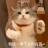 拖地猫表情包:我要吃肉肉!