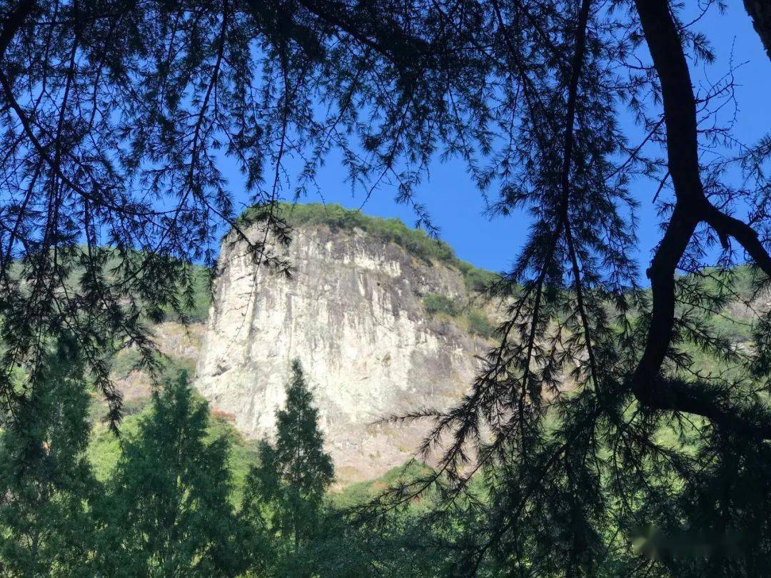 九龙山自然保护区简介