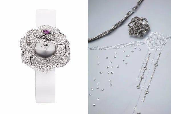 猎豹|绝配！当灵感系出同源